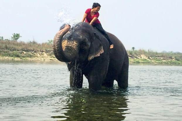 Poster of the Hindu goddess, Chinnamasta