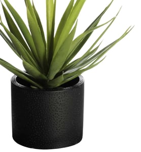 lx-product-plant-v2-3