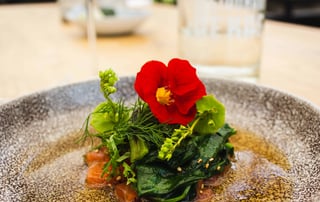 close-up photo of vegetable and red petaled flower on plate