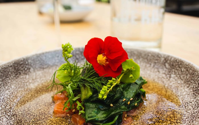close-up photo of vegetable and red petaled flower on plate