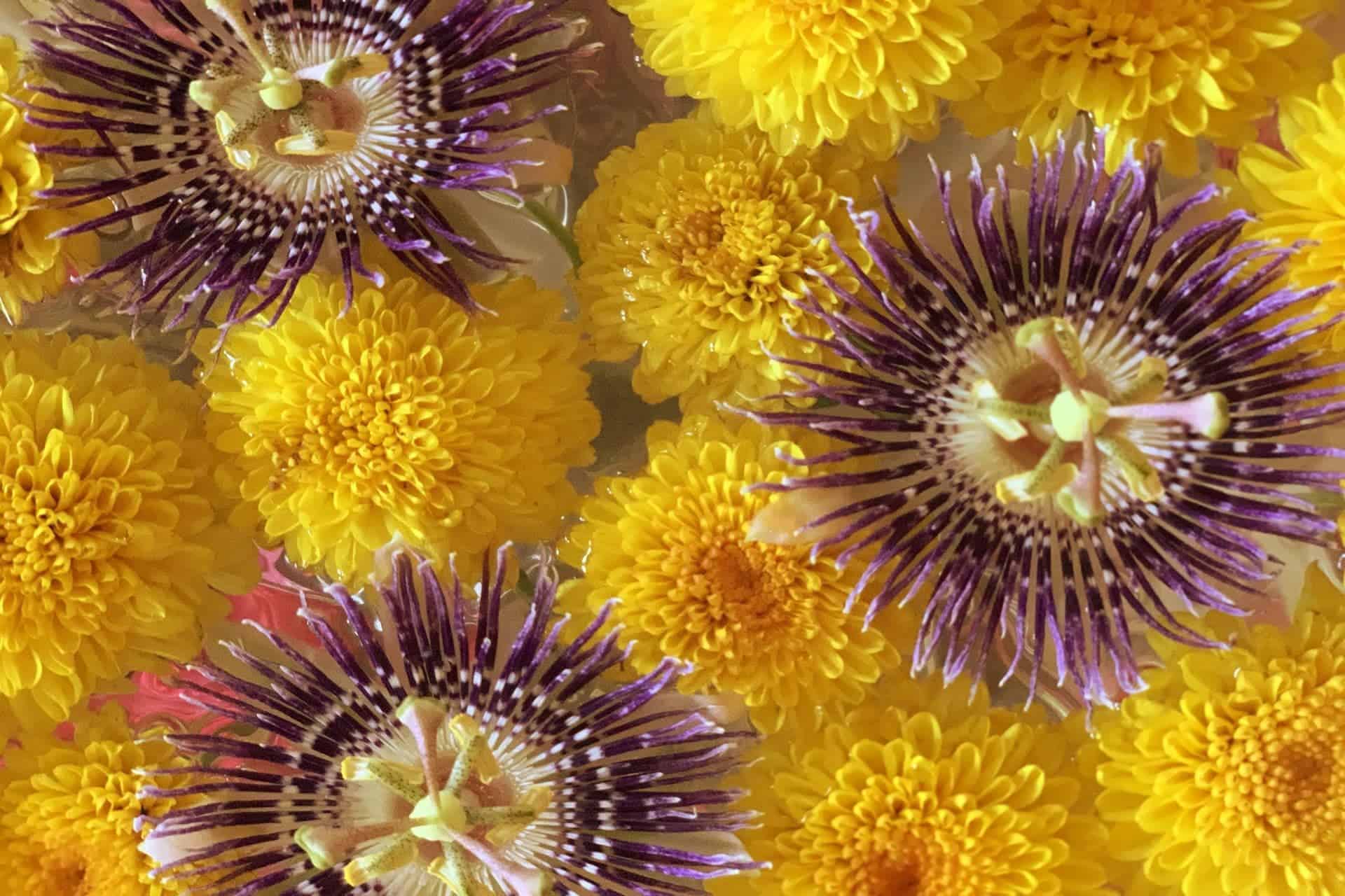 Hindustan Times: Flower power festive vibes