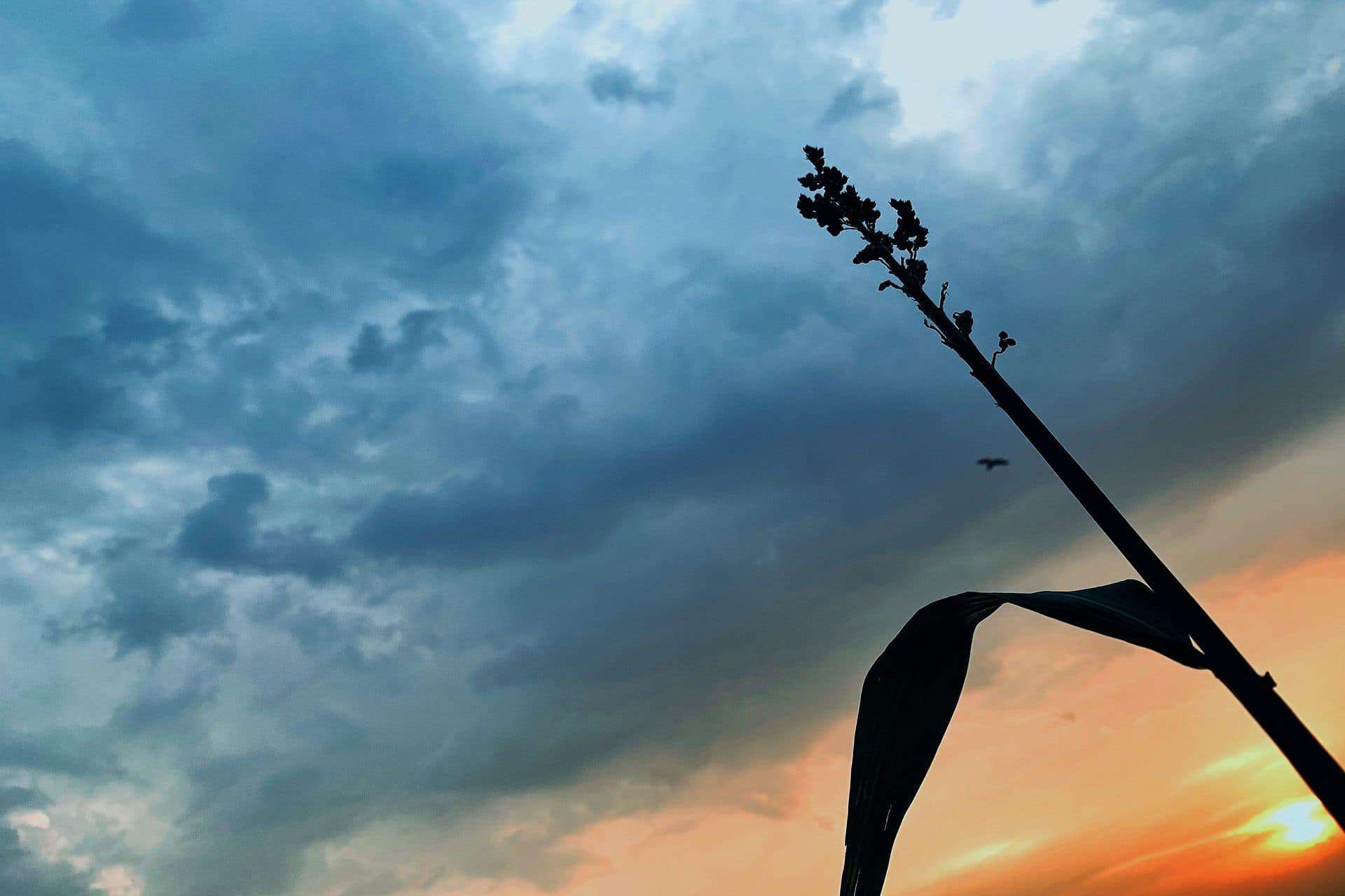 The Mandya equation: Hindustan Times