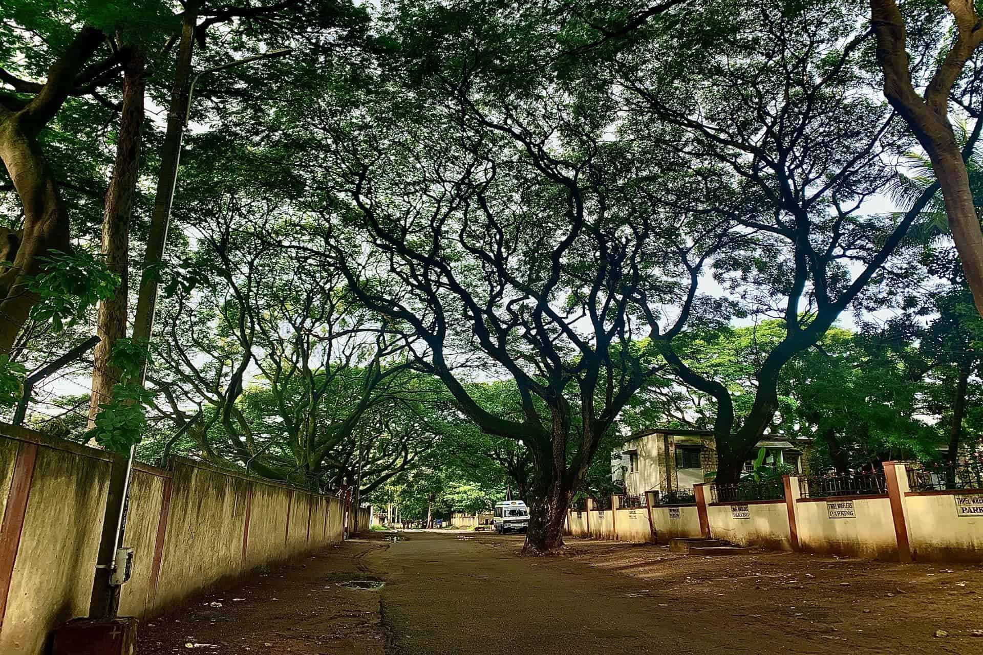 Hindustan Times: Artists in Bangalore