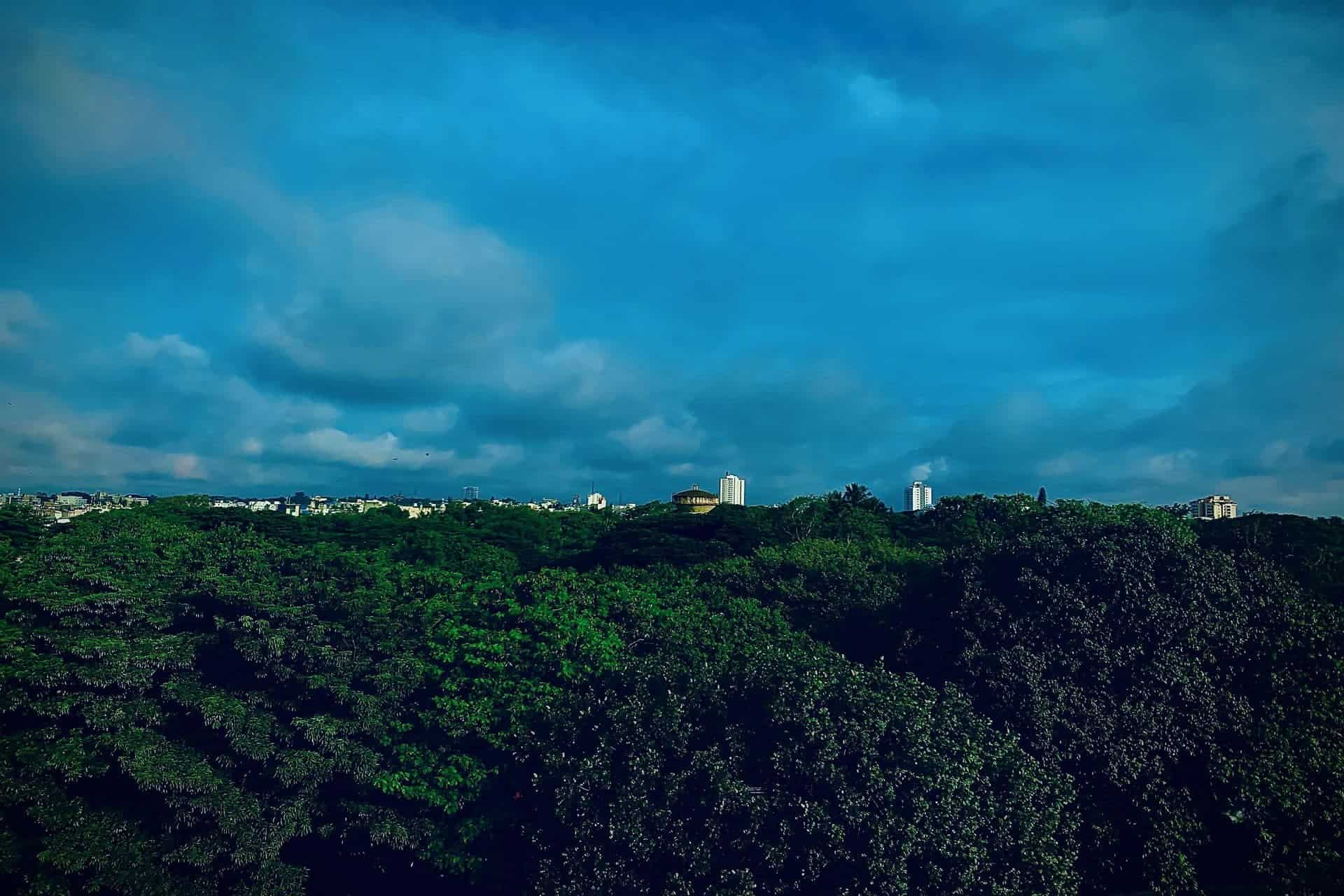 Times of India: Bangalore Walk