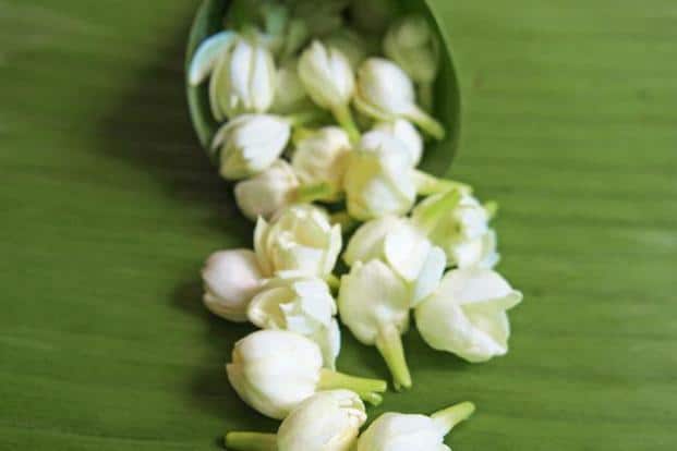 Poster of the Hindu goddess, Chinnamasta