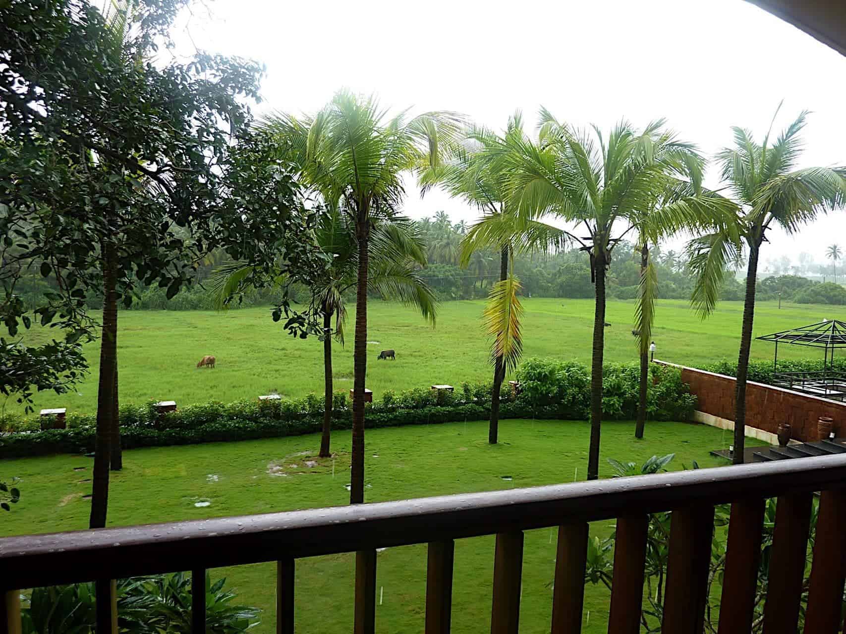 Hindustan Times: Easter in Bangalore