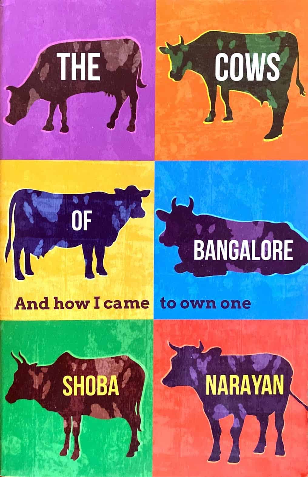 India edition, Cows of Bangalore, by Shoba Narayan