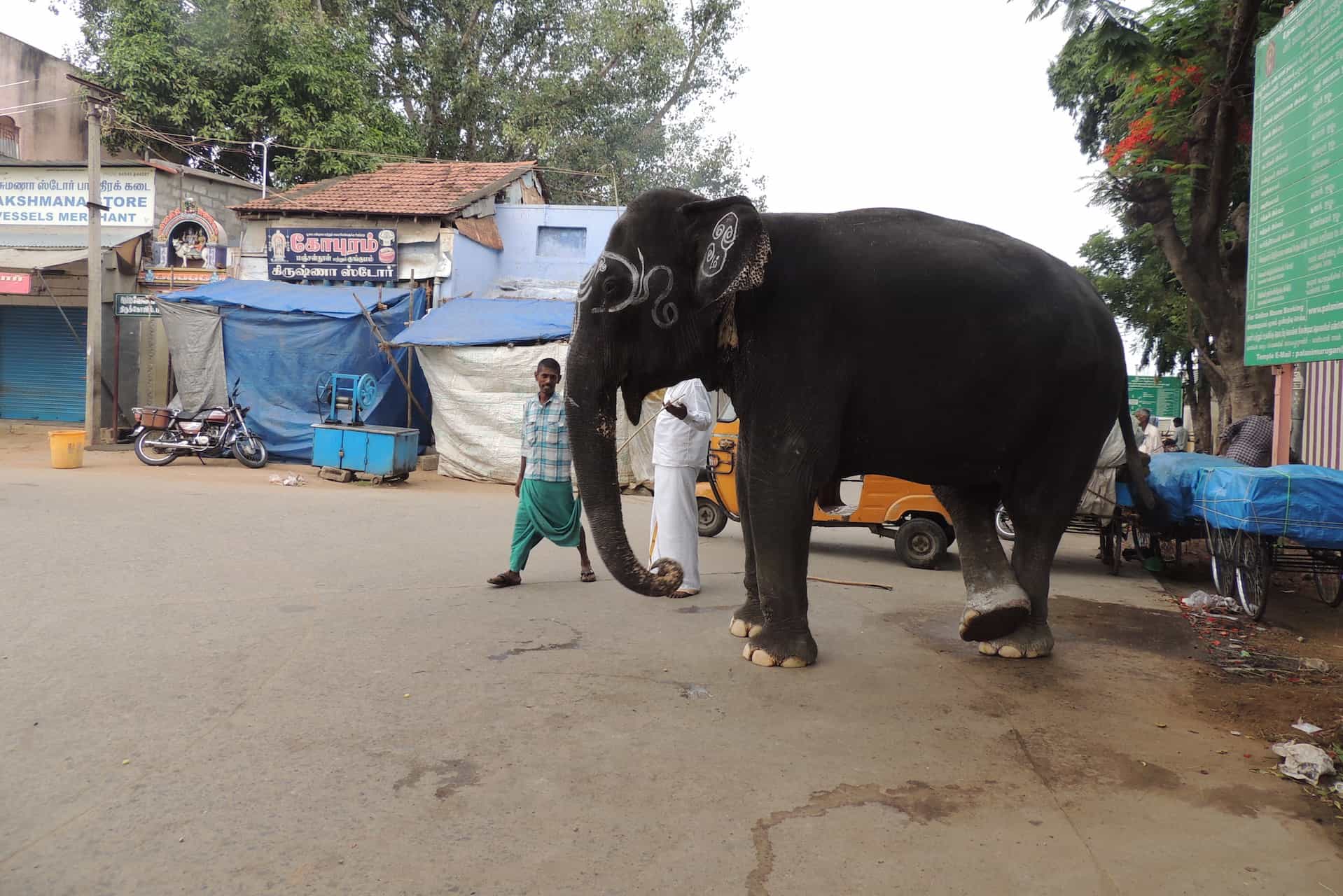 Hindustan Times: Ganesha festival