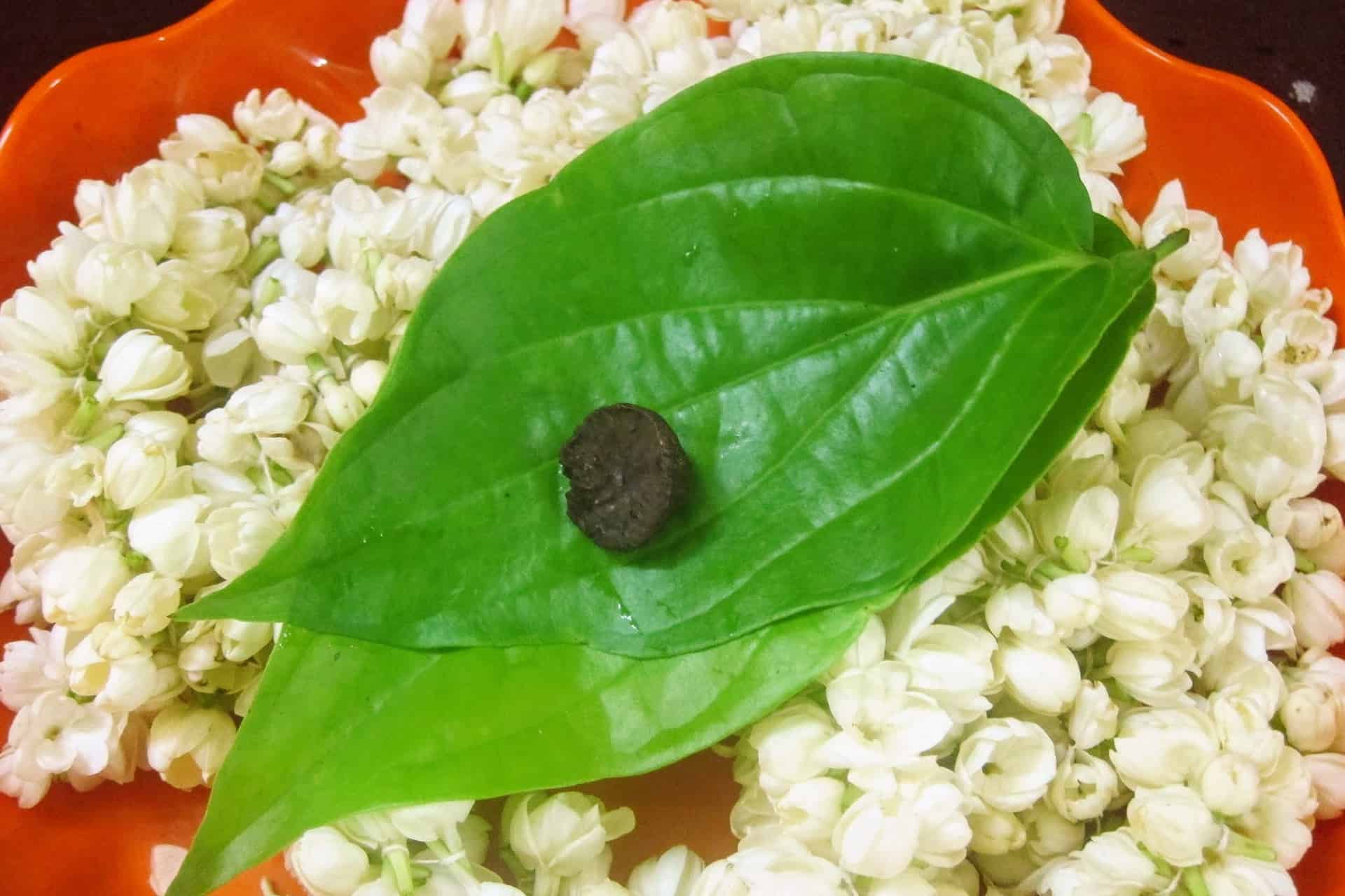 What’s your favourite Sundal?