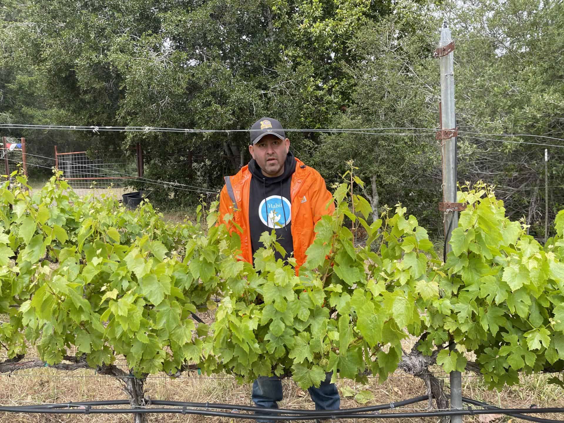 Raj Parr profile/Mint Lounge