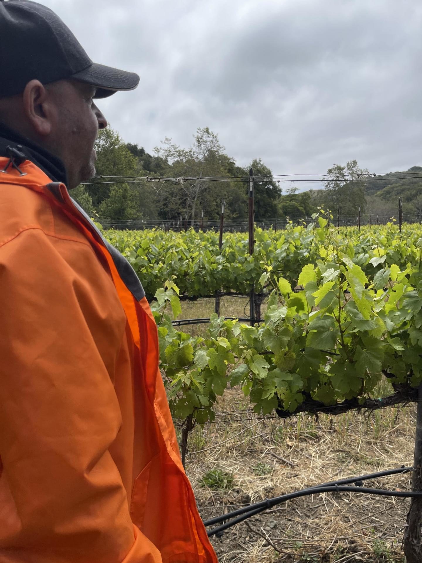 Rajat Parr Raj Parr Rajat Parr Raj Parr