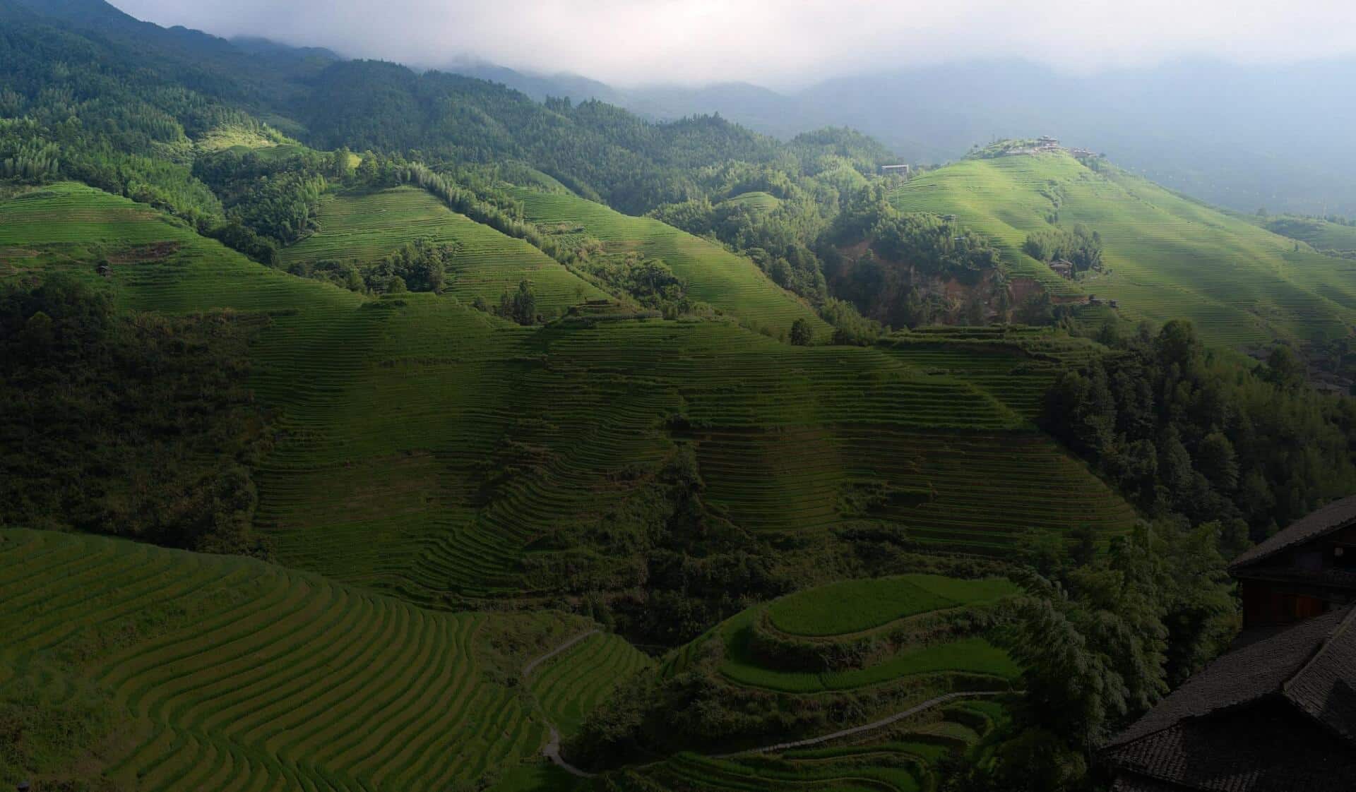 St. Mary’s Feast: Hindustan Times