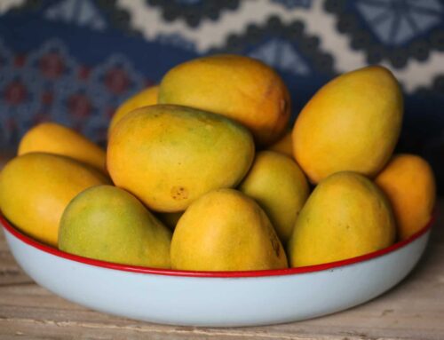 Fine Dining Lovers magazine: Mangoes